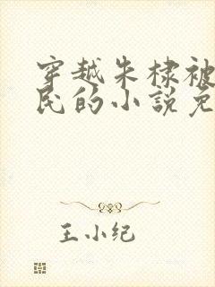 穿越朱棣被贬农民的小说免费阅读