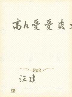 高h爱爱爽文封面