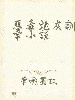 恶毒炮灰训诫日常小说封面