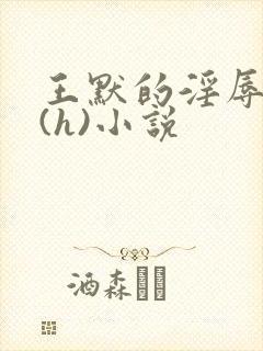 王默的淫辱日记(h)小说