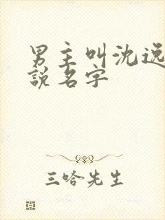 男主叫沈逸的小说名字