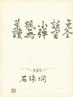 叶枫小说免费阅读无弹窗全文