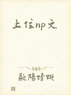 上位np文封面