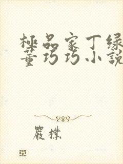 极品家丁绿帽版董巧巧小说