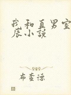 我和直男室友张辰小说