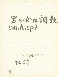 男s女m调教(sm,h,sp)