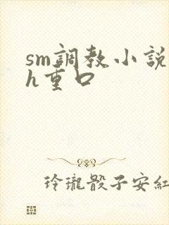 sm调教小说高h重口