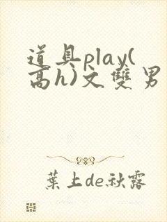 道具play(高h)文双男主