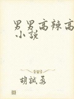 男男高辣高 h 小说