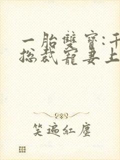 一胎双宝:千亿总裁宠妻上瘾