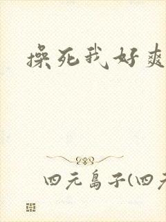 操死我好爽想要封面