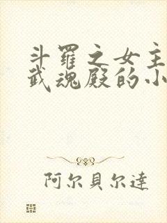 斗罗之女主加入武魂殿的小说