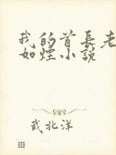 我的首长老婆柳如烟小说