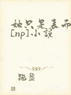 她只是表面清纯[np]小说