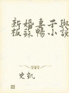 新婚妻子与菜老板苏畅小说