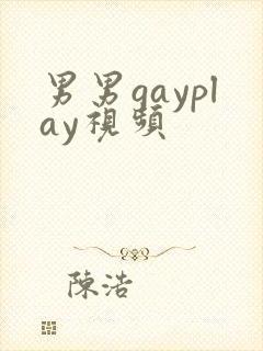 男男gayplay视频