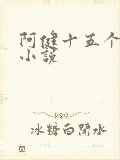 阿健十五个美人小说