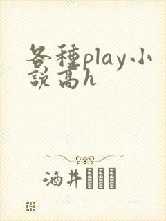 各种play小说高h