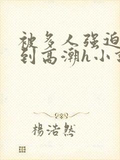 被多人强迫玩弄到高潮h小说