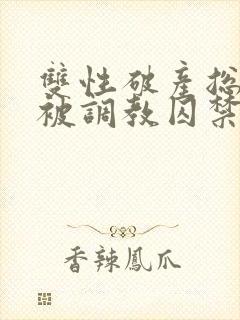 双性破产总裁受被调教囚禁封面