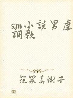 sm小说男虐女调教