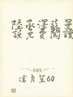 陆承泽苏曼柔小说免费阅读最新章节