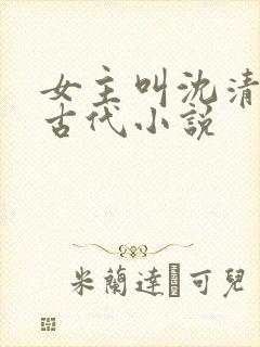 女主叫沈清欢的古代小说