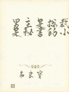 男主是总裁女主是秘书的小说