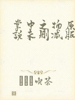 掌中之物原著小说未删减版