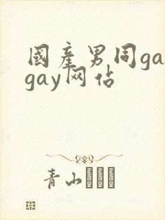国产男同gaygay网站