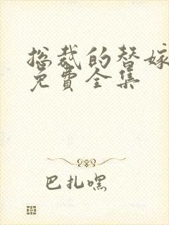 总裁的替嫁新娘免费全集封面