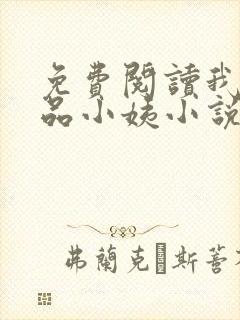 免费阅读我的极品小姨小说封面