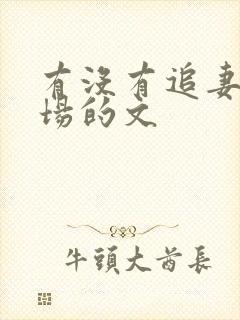 有没有追妻火葬场的文