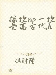 总攻np一攻多受高古代h