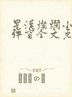 星汉灿烂小说无弹窗全文免费阅读