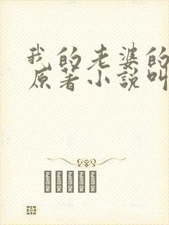 我的老婆的镣铐原著小说叫什么名字