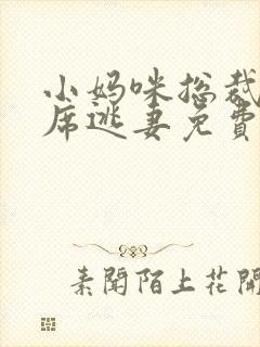 小妈咪总裁的首席逃妻免费阅读全文无弹窗