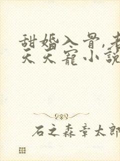 甜婚入骨,老公天天宠小说