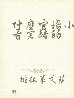 什么官场小说好看完结的