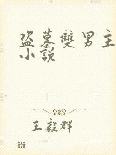 盗墓双男主推荐小说