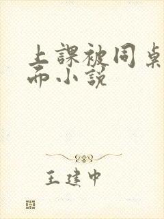 上课被同桌摸下面小说封面