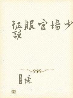 征服官场少妇小说