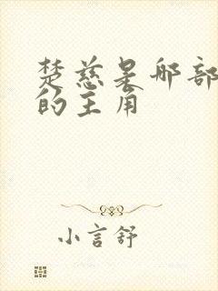 楚慈是哪部小说的主角封面