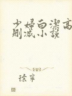 少妇白洁高义无删减小说