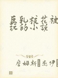 巨乳校花被全班玩的小说封面