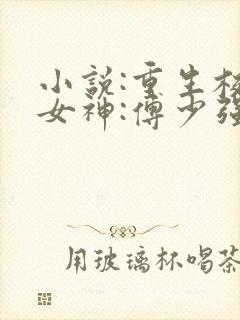 小说:重生校园女神:傅少强势宠