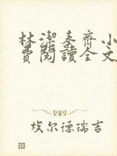 林洁秦齐小说免费阅读全文最新章节封面