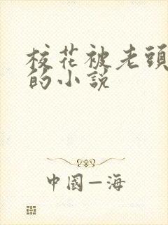 校花被老头欺负的小说封面