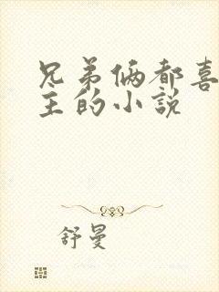 兄弟俩都喜欢女主的小说封面