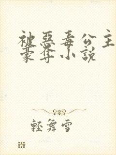 被恶毒公主强取豪夺小说